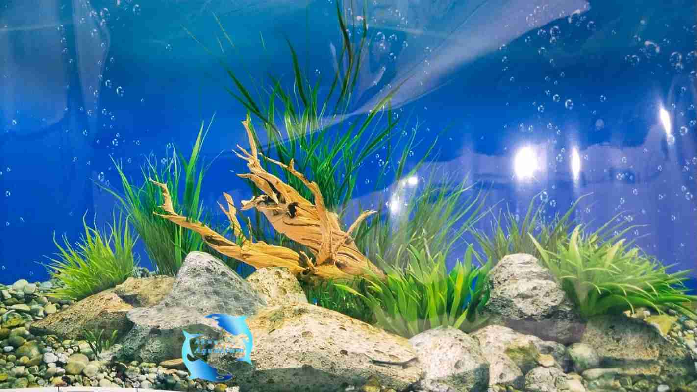 Wallpaper aquarium sale 3d