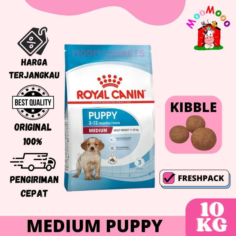 Royal canin sales maxi junior 10kg