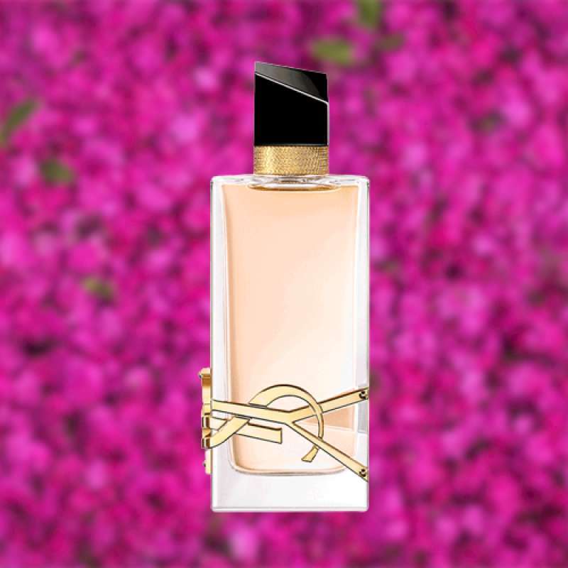 Jual Parfum Ysl Original Libre 100 Original Harga Kualitas Terbaik Oktober 2024