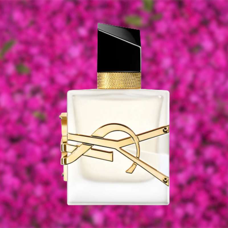 Ysl libre 2025 original