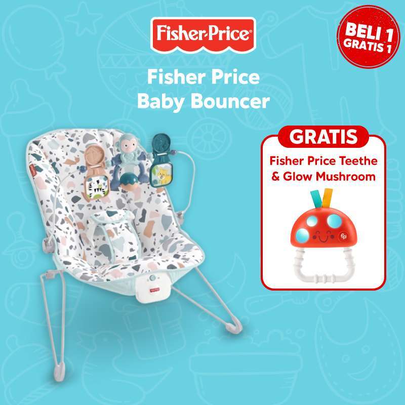 Fisher price baby bouncer sale canada