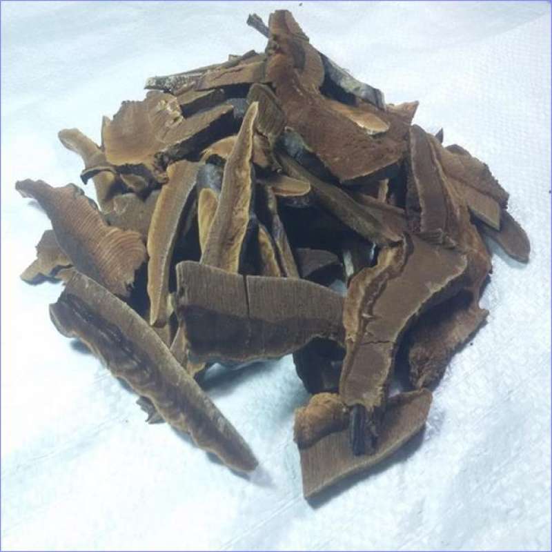 Jual jamur lingzhi ling zhi mushroom ganoderma iris 100 gram [lingzhi