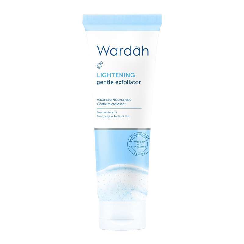 Exfoliator yang Bagus untuk Kulit Berminyak Blibli Friends