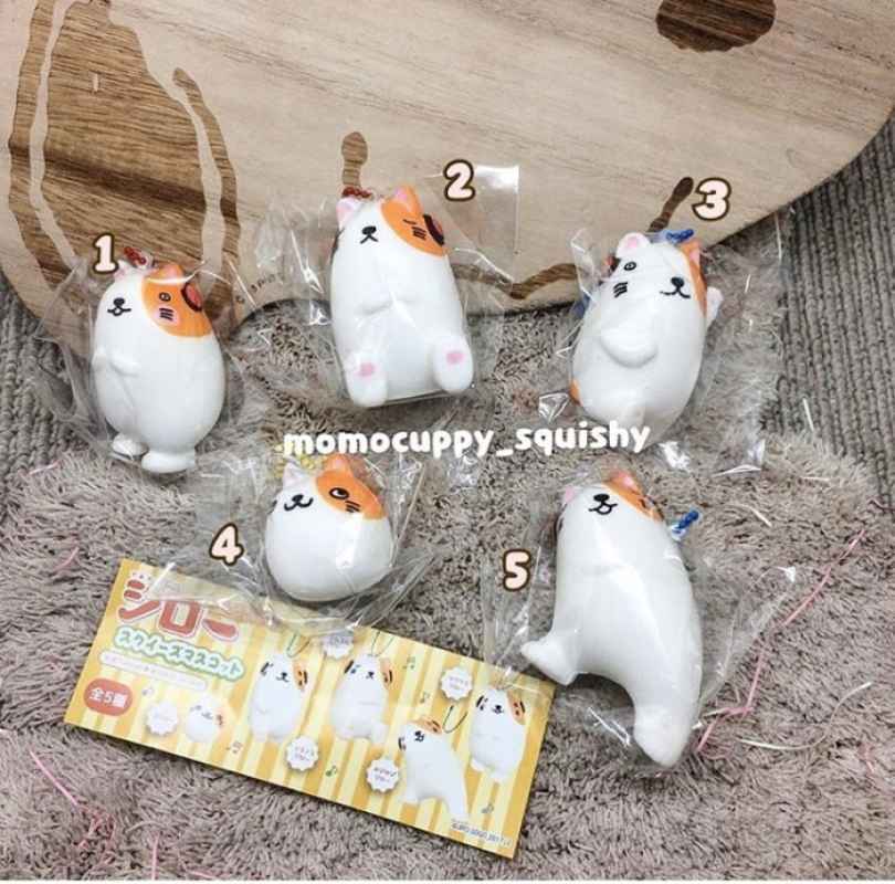 Jual Gratis Ongkir Squishy Licensed Cat Squishy Gachapon Original Japan Jual Gratis Ongkir Squishy Licensed Cat Squishy Gachapon Original Japan