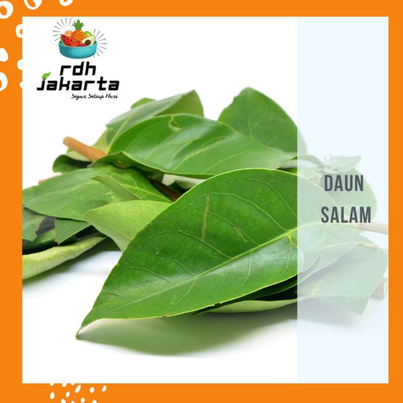 Jual Daun Salam / Daun Salam Fresh / Bay leaves di Seller RDH Jakarta