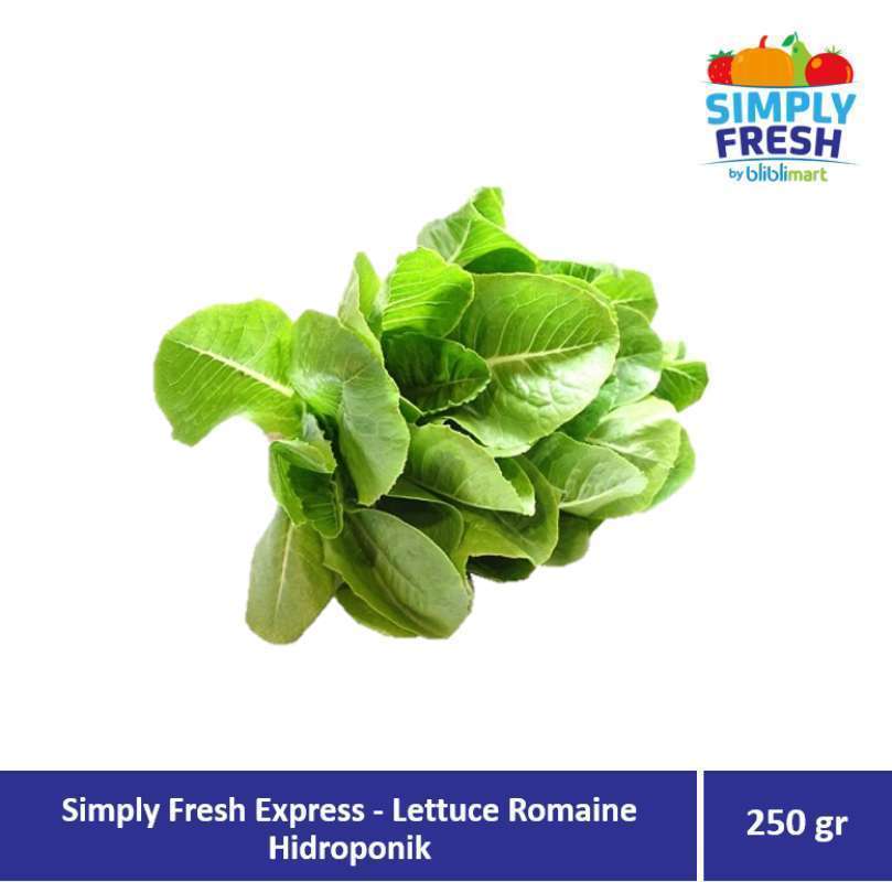 Jual TGR Simply Fresh Express Lettuce Romaine Hidroponik [250gr] di