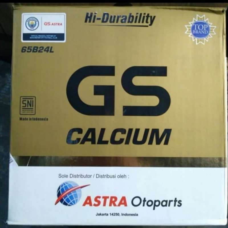 Jual AKI BATERAI MOBIL GS ASTRA CALCIUM 65B24L/NS60L 12V 55AH GARANSI 3