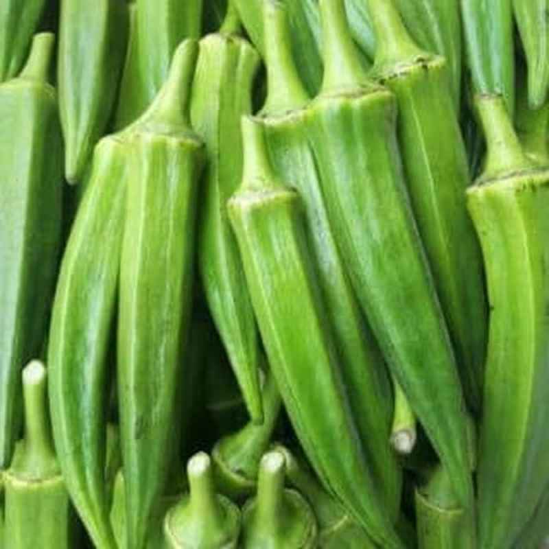 Promo Sayur Okra Hijau Segar 500gr Obat Untuk Diabetes dan Kolesterol Halal Diskon 8 di Seller