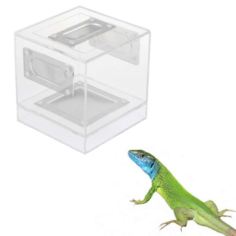 Jual Acrylic Reptile Turtle Tortoise Lizard Breeding Box Feeding
