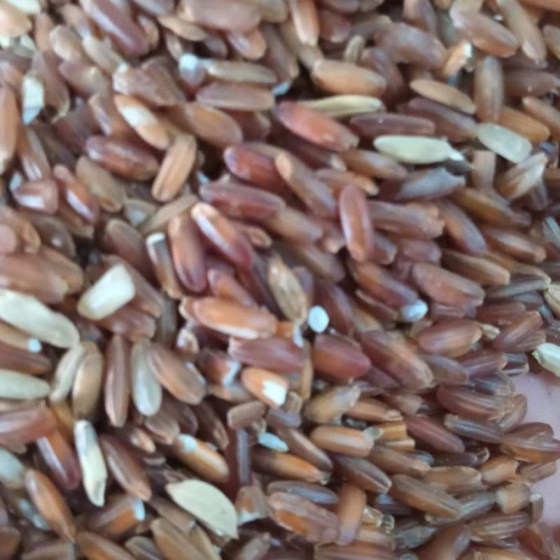 Jual Beras Merah 25Kg Ayam di Seller Ken Storee - Duri Kepa, Kota