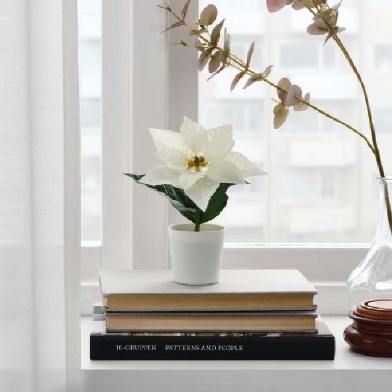 Jual Ikea Poinsettia Putih Tanaman Artificial di Seller IKEA LIFE PICK
