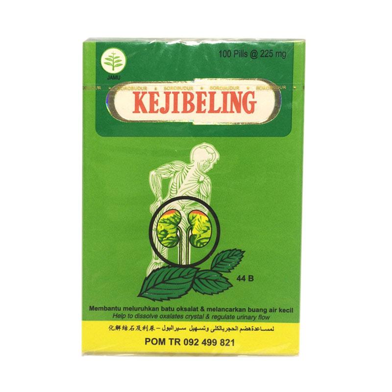  Obat  Sakit  Buang Air Kecil Detik Kesehatan