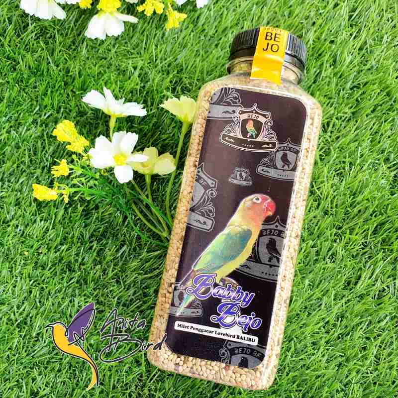 lovebird konslet mp3 lovebird konslet mp3