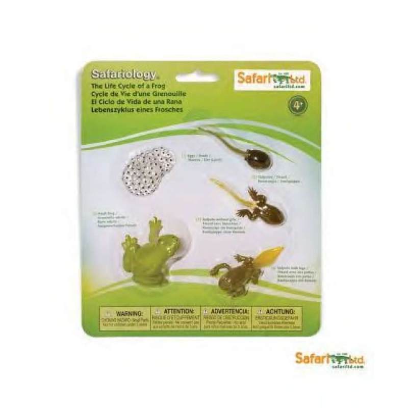 Jual Safari Ltd. Life Cycle of a Frog Set di Seller Mothercare ...