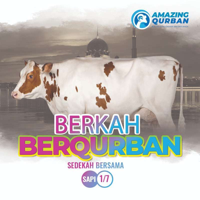 Jual Sapi Qurban 2023 - Harga Termurah Dan Terbaru Di 2024 | Blibli