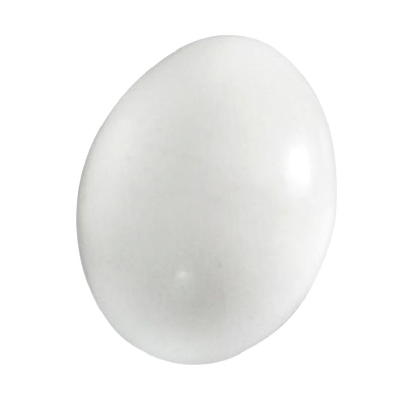 jual oem telur pengganti aksesoris burung merpati jual oem telur pengganti aksesoris burung merpati