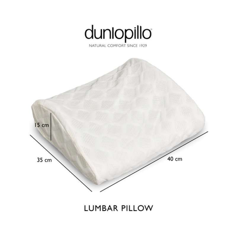 Argos Dunlopillo Latex Foam Pillow atelieryuwa.ciao.jp
