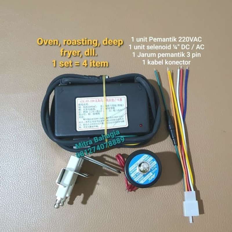 Jual SET IGNITER PEMANTIK OVEN ROASTING DEEP FRYER 220VAC