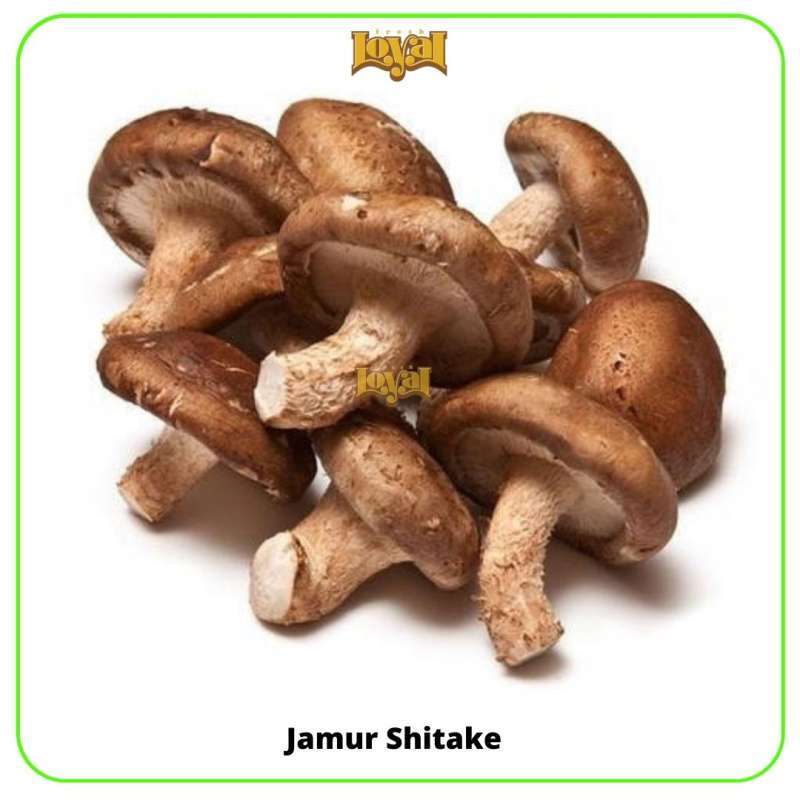 Jual Jamur Shitake 200 Gram Konvensional LOYALFRESH di Seller Loyal fresh Tanah Tinggi, Kota