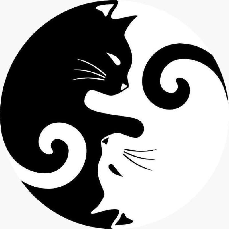 Jual Extra Custom Kalimba Di Seller Baby_kenn Duri Pulo, Kota Jakarta