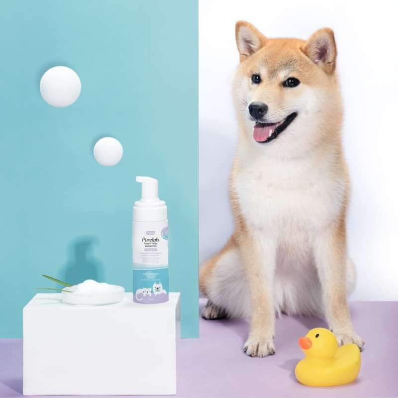 Jual Cature Purelab Series Rinse Free Shampoo (no Water Needed) Di