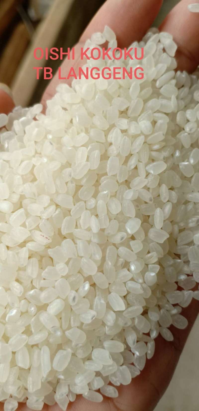 Jual Kokoku Japonica Oishi Sushi Rice Beras Jepang [20 Kg] Di Seller ...