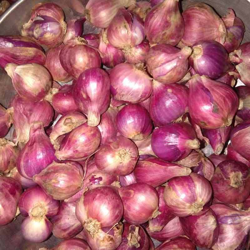 Jual Bawang Merah Brebes SUPER 500 gram di Seller Sahabat Horeca