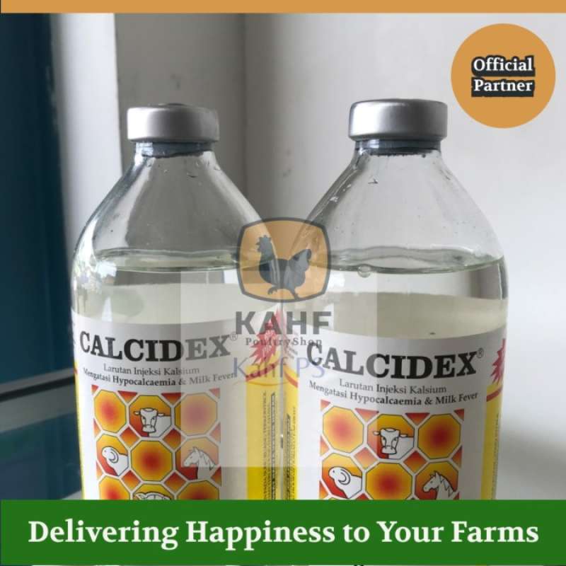 Promo Calcidex 500 Ml Larutan Injeksi Kalsium Sapi Kambing Kuda Diskon ...