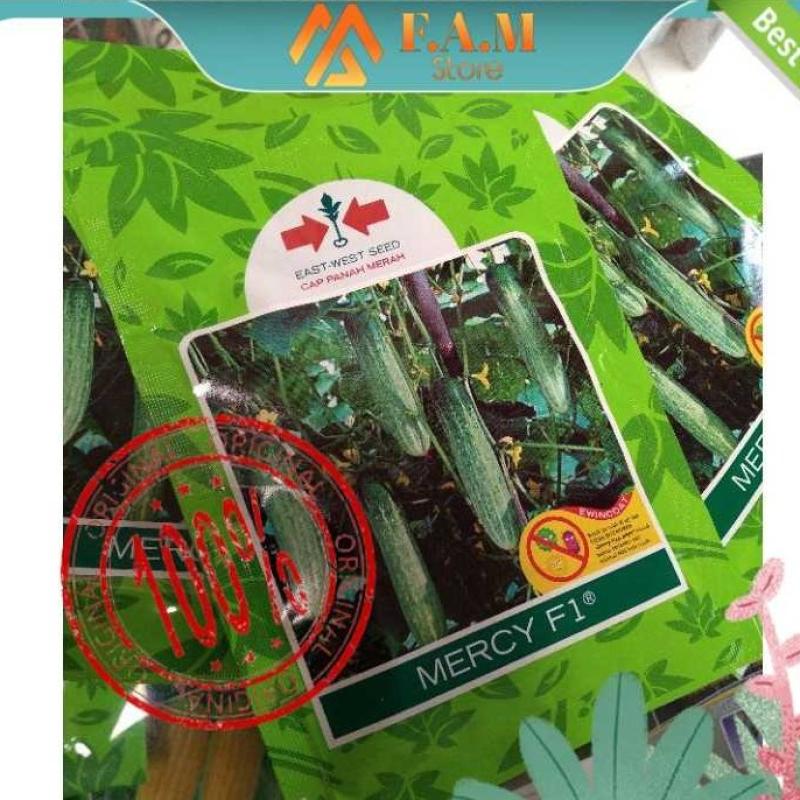 Jual Mercy 400 Butir Benih Timun Hibrida Tahan Penyakit [murah] di ...