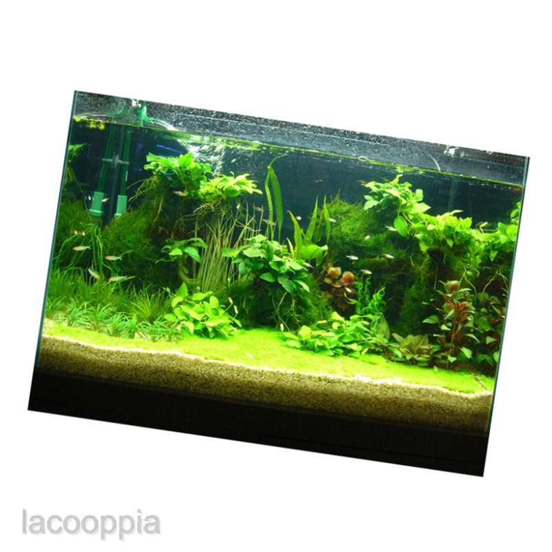 Jual [LACOOPPIA] 3D Aquarium Background Fish Tank Backdrop Static Cling