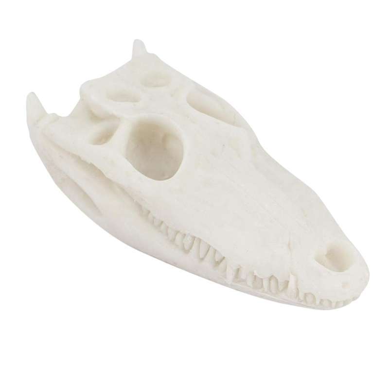 Promo Safety Resin Skull Aquarium Decor, Animal Skeleton Figurine