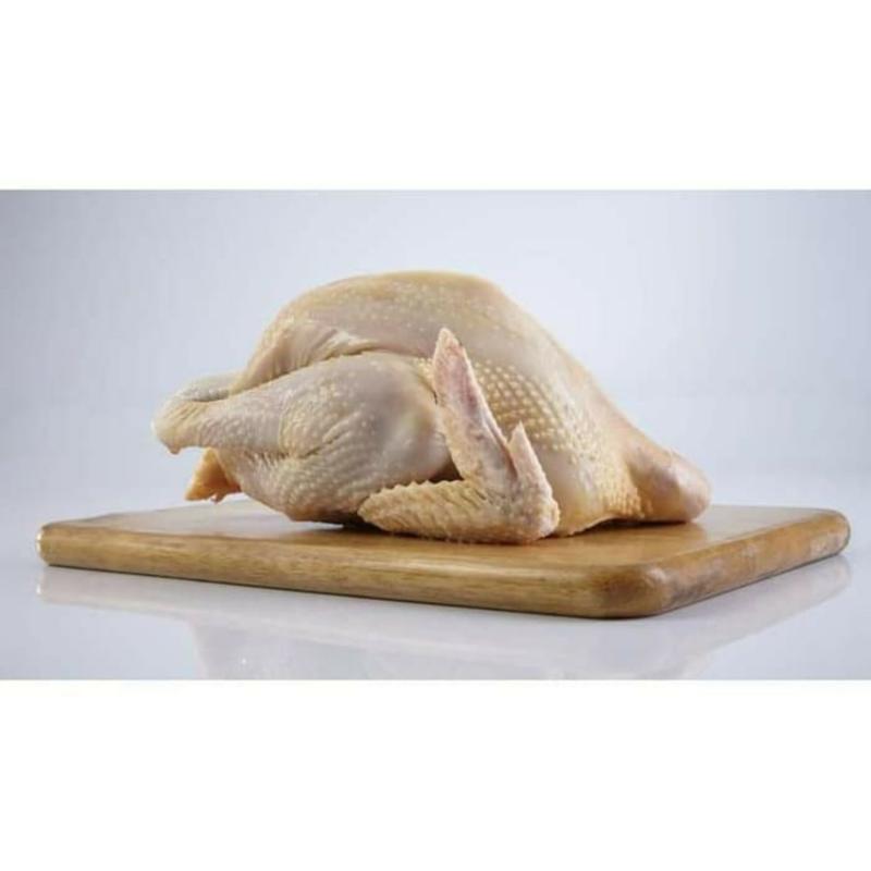 Jual Sajira Farm Frozen Ayam Kampung [ukuran 700-800 Gr] Terbaru