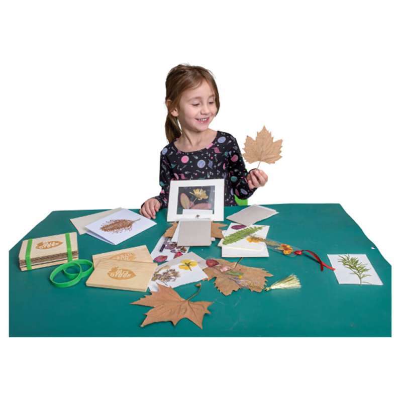 Jual Mrs Green Pressed Flower Craft di Seller LatestBuy 6053