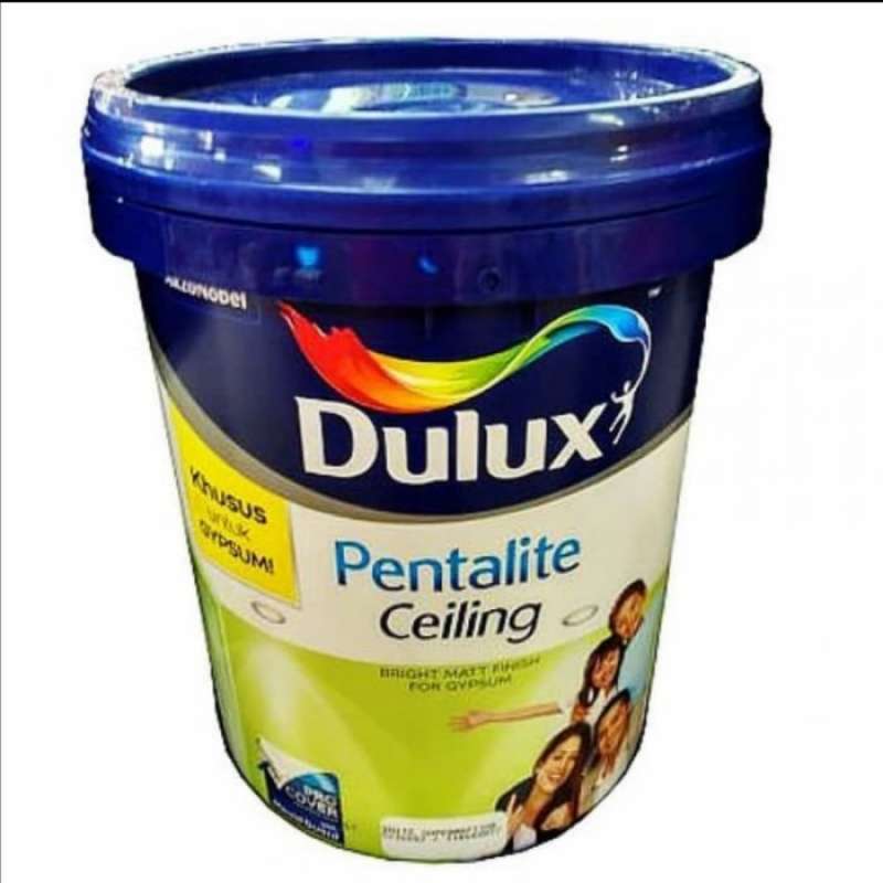 Promo Cat Dulux Pentalite Ceiling 25Kg Diskon 12 di Seller Jamil Store