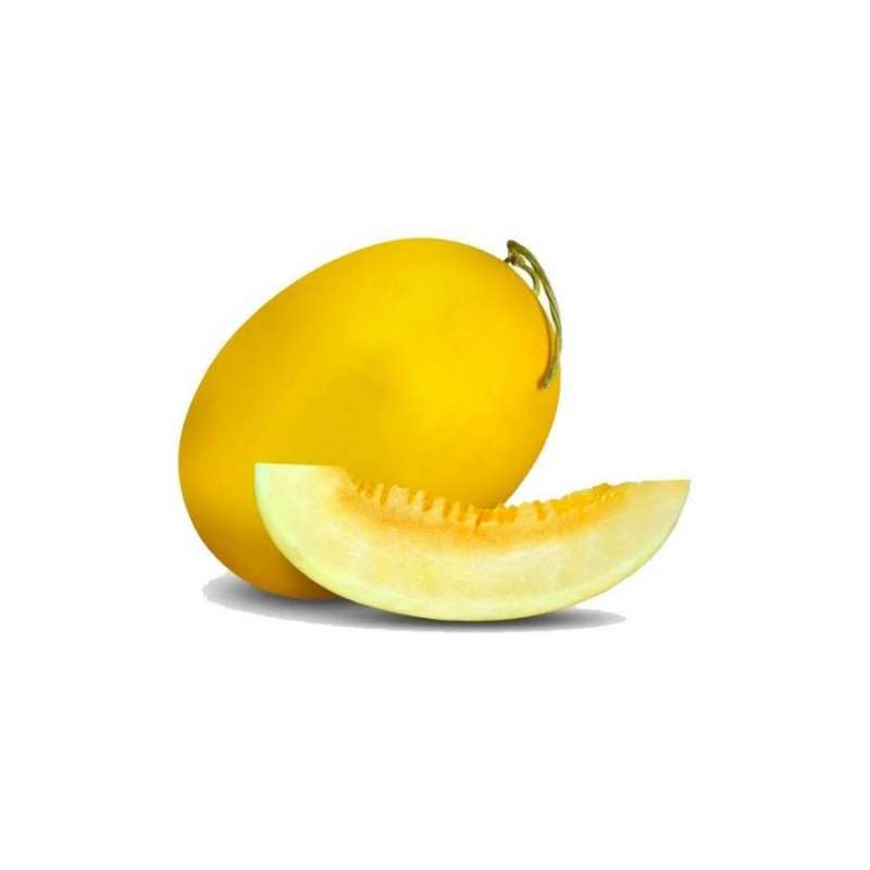 Jual Harga Melon Golden Per Kg Murah Harga Grosir Agustus 2024 Blibli