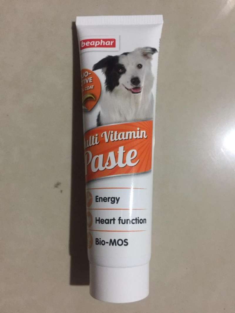 Jual Beaphar Duo Active Skin Coat Paste Multi Vitamin for Dogs, 100 g