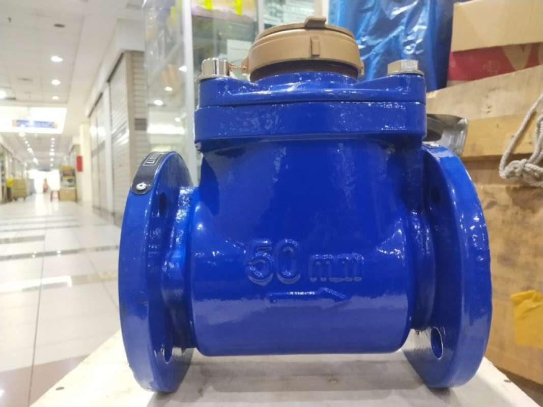 Promo Flowmeter Dn 50 Mm Diskon 2 Di Seller Odettee Shop Wanasari promo-flowmeter-dn-50-mm-diskon-2-di-seller-odettee-shop-wanasari