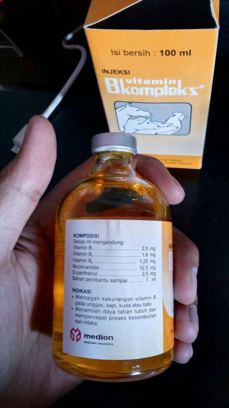 promo-vitamin-injeksi-b-kompleks-100-mll-diskon-8-di-seller-silakan
