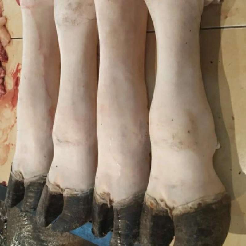 Jual KAKI SAPI LOKAL SEGAR / COKOR SAPI 2.0kg di Seller ANEKA SEAFOOD