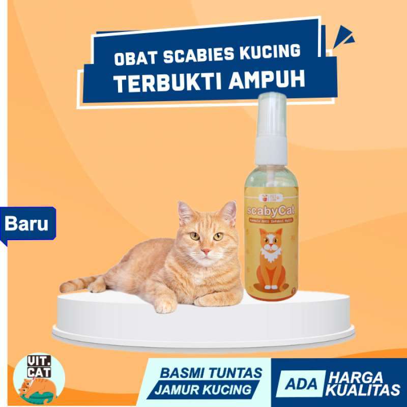 Jual Obat Jamur Scabies Demodex Gatal Kulit Kucing Kitten Spray