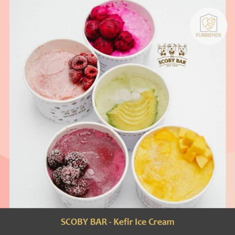 Promo The Scoby Bar Ice Cream Kefir With Real Fruit Probiotic Snack For