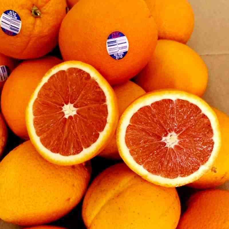 Jual JERUK SUNKIST CARA CARA ORANGES FRESH IMPORT PER KG Halal di