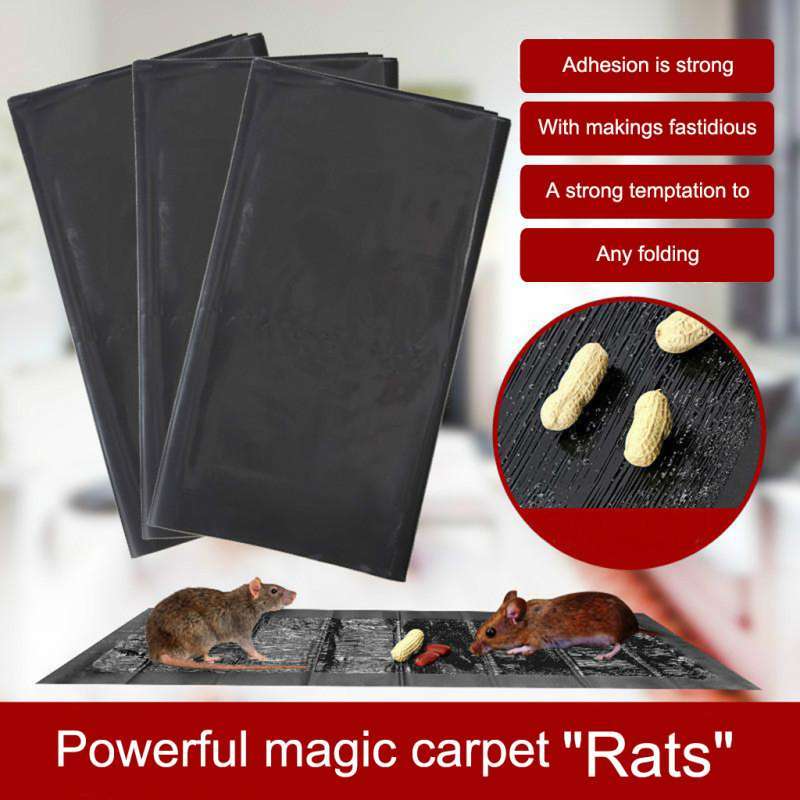 Promo Sticky Rat Mouse Glue Traps for Trapping Spiders Roaches & Other