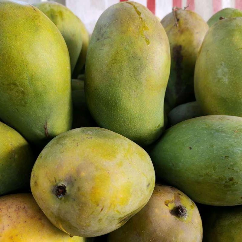 Jual mangga harum manis/kg di Seller Riyan buah - Pondok Labu, Kota