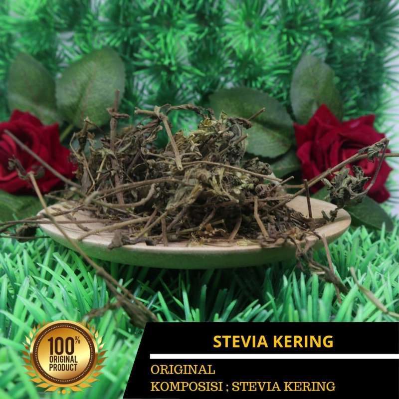 Jual Daun  stevia kering  asli pemanis alami dried stevia 