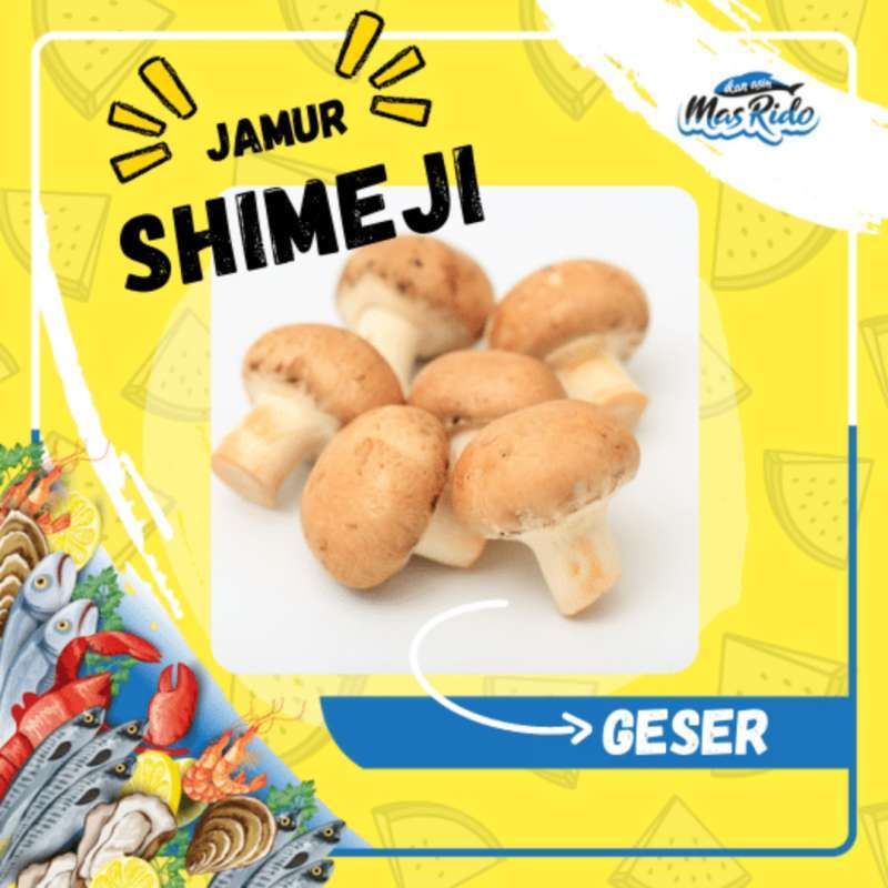 Jual Ikan Asin Mas Rido Jamur Shimeji Coklat Segar Kwalitas Super Harga Murah Halal di Seller