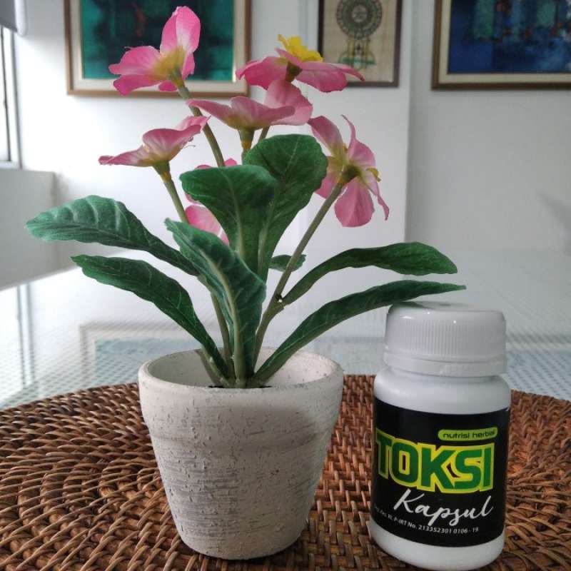 Jual Biosyafa Biotoksi Kapsul Herbal Probiotik | Detoks Tubuh Dan ...