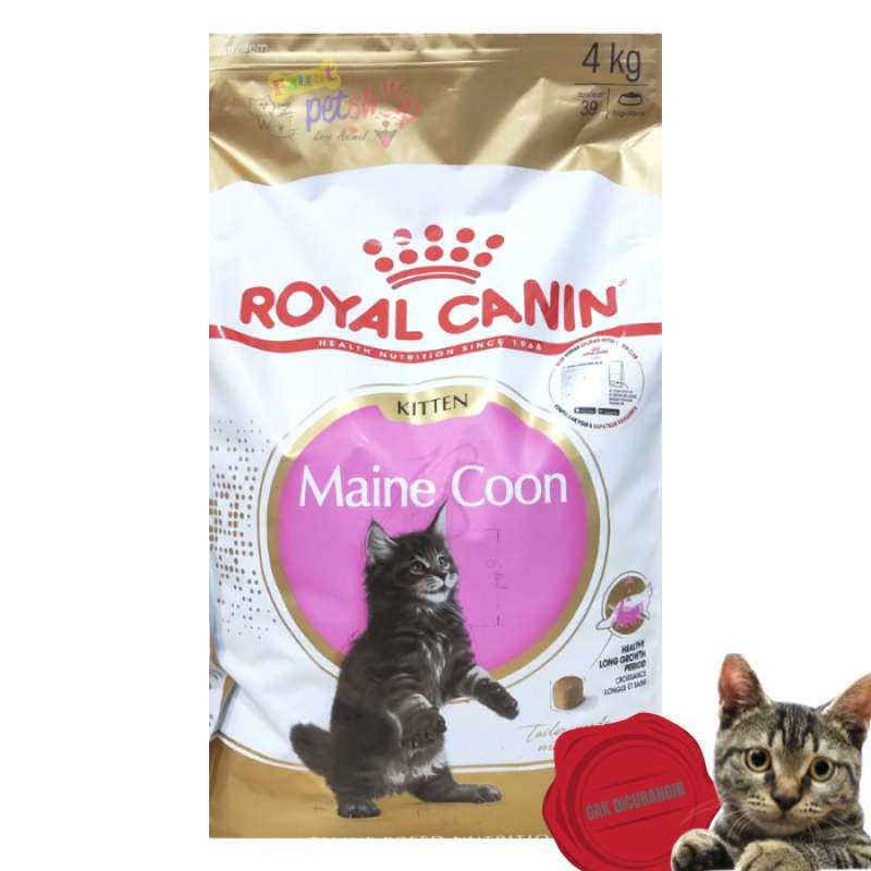 Jual Royal Canin Maine Coon Kitten 4Kg Makanan Kucing Kering Dry Cat ...