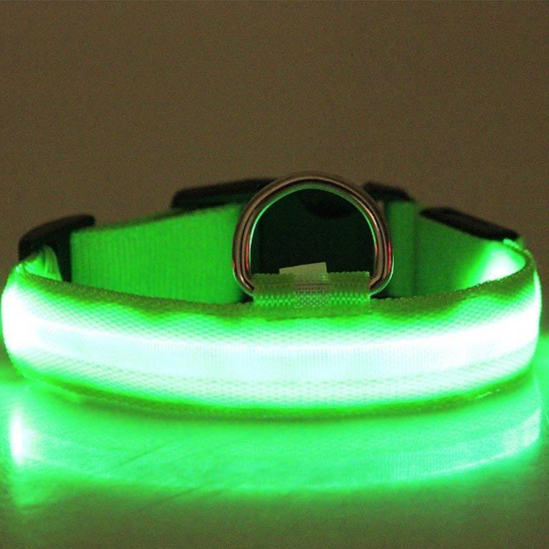 Jual IIT 7 LED Dog Collar Light Up Nylon Pet Collar Battery Powered 3