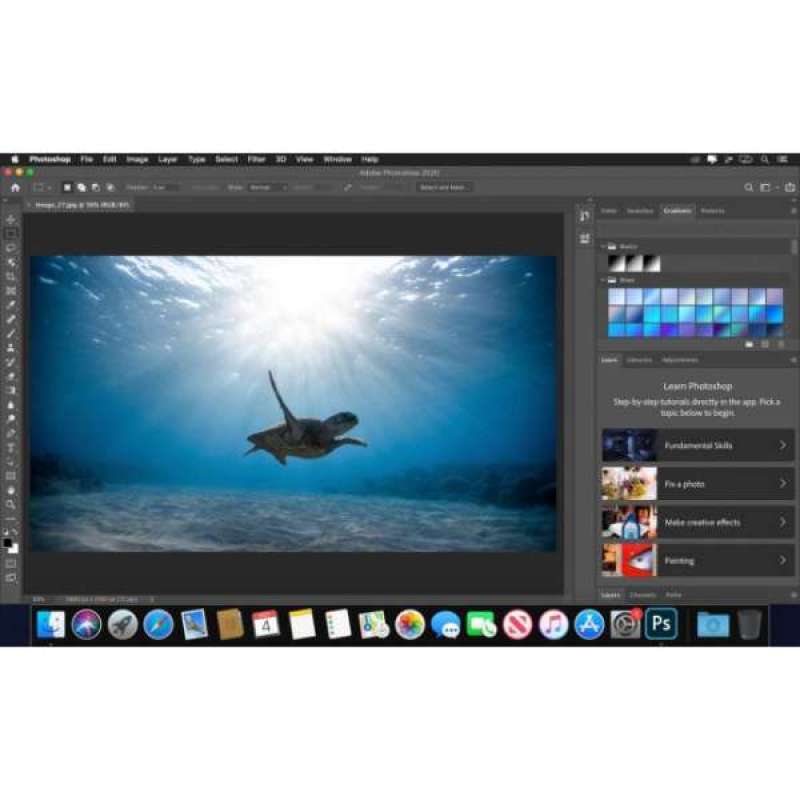 Jual Adobe Photoshop Cc 2020 Full Version Dvd Software Di Seller ...